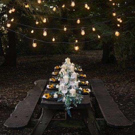 Outdoor Tree Lighting, Festoon Lights, Outdoor Table Tops, Outdoor Trees, Lights Black, Moroccan Lanterns, Garden Lanterns, Outside Living, Solar Lanterns