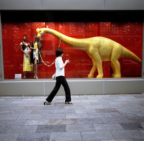 Dinosaur in store window display, Ginza, Tokyo, Japan. Dinosaur Display, Ginza Tokyo, Store Window Display, Display Props, Display Advertising, Store Window, Japan Shop, Window Displays, Visual Display