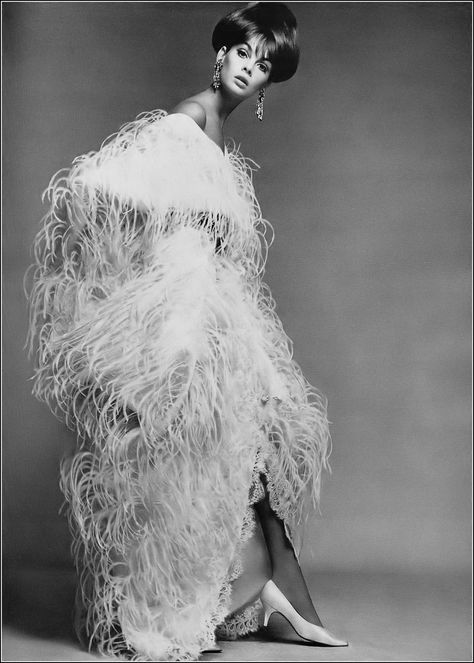 Jean Shrimpton in champagne froth of ostrich feathers on b… | Flickr 60’s Fashion, Model Jeans, Vintage Movie Stars, Jean Shrimpton, Jenny Lewis, Jeanne Lanvin, Richard Avedon, Beautiful Cover, Harper’s Bazaar