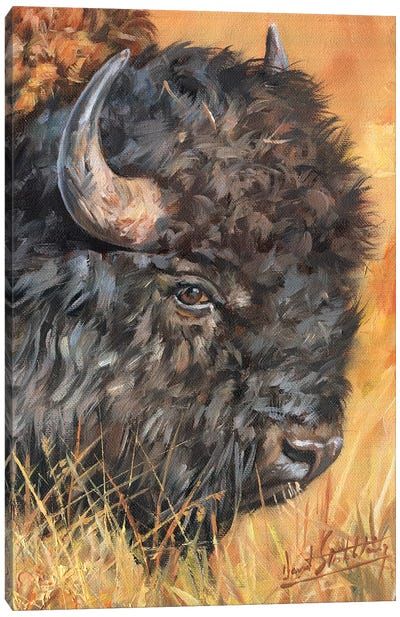 Bison Pictures, Buffalo Painting, Spring Challenge, Deer Artwork, Bison Art, Buffalo Art, Bull Art, Wildlife Artists, Pet Signs