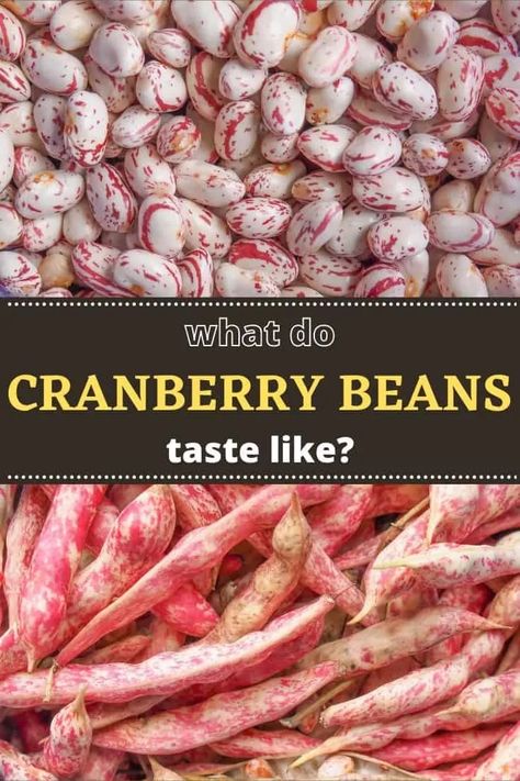 what-do-cranberry-beans-taste-like-pin Cranberry Bean Recipes, Fresh Cranberry Beans Recipe, Cranberry Beans Instant Pot, Cranberry Bean Soup, Cranberry Beans Recipe Dried, Cranberry Beans Recipe Slow Cooker, Cranberry Beans Recipe, Indian Beans Recipe, Cooking Cranberries