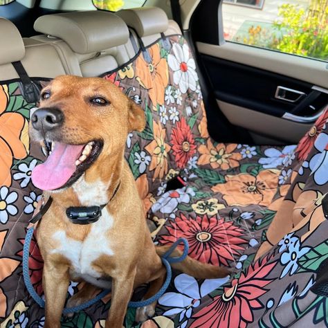 Happy pup 🐶 Bubbah is loving the beautiful Retro Flowers in Bloom dog car seat cover 🐾 🌼 🚘 Our car hammocks are paws-itively adorable and ensure a tail-wagging, safe, and comfy ride for your pup! 🐕 Hippie Car, Dog Seat Covers, Dog Car Seat, Dog Seat, Auto Retro, Dog Car Seat Cover, Cattle Dogs, Car Things, Pet Car Seat