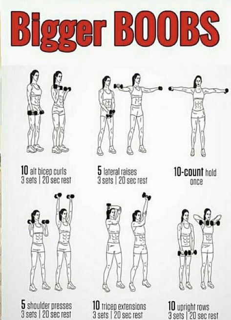 Bigger Arms Women, Lazy Fitness, Bust Workout, Summer Body Workout Plan, Workout Gym Routine, Gym Workout Plan For Women, Workout Routines For Beginners, All Body Workout, Summer Body Workouts