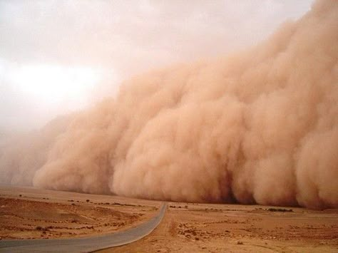 Sophie Paterson Interiors, Body Connection, Body To Body, Dust Storm, Muscle Relaxation, Visit Egypt, Stormy Weather, Higher Consciousness, Storm Clouds