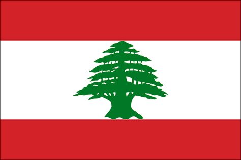 flag Lebanese Flag, Live Sign, Lebanon Flag, Images Noêl Vintages, Beirut Lebanon, Flags Of The World, Yemen, Beirut, 00 00