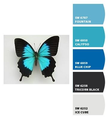 Ulysses Butterfly. ColorSnap by Sherwin-Williams Butterfly Color Combinations, Butterfly Color Scheme, Blue Butterfly Color Palette, Color Palette Butterfly, Butterfly Colour Palette, Butterfly Color Palette, Colour Wheel Combinations, Ulysses Butterfly, Photo Papillon