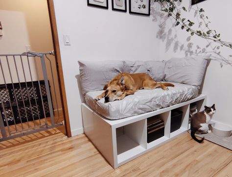 Dog Beds In Bedroom Ideas, Dog Bed Bench Ideas, Dog Beds With Storage, Dog Sleep Area, Dog Sofa Diy, Dog Room Storage Ideas, Dog Couch Diy, Cozy Dog Crate Ideas, Dog Bed In Office