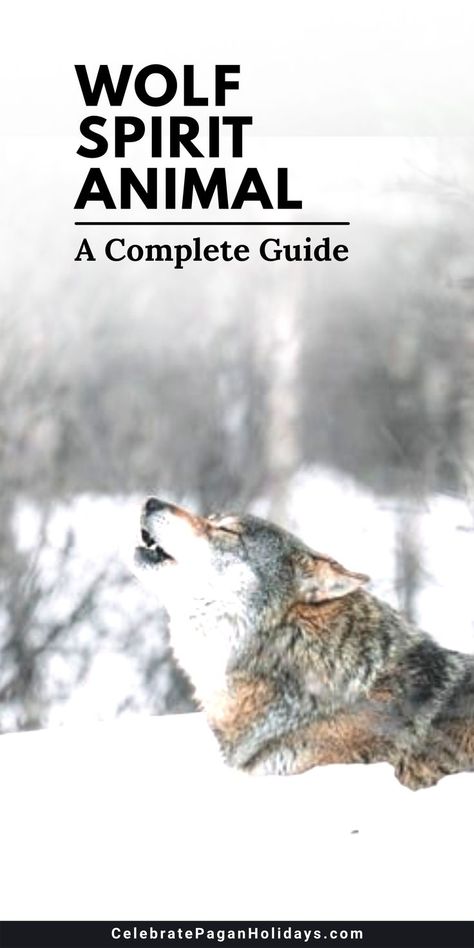 Wolf howling Pagan Lifestyle, Pagan Holidays, Animal Communication, Cultures Around The World, Animal Spirit Guides, Wolf Spirit Animal, Spirit Guide, Wolf Spirit, A Wolf