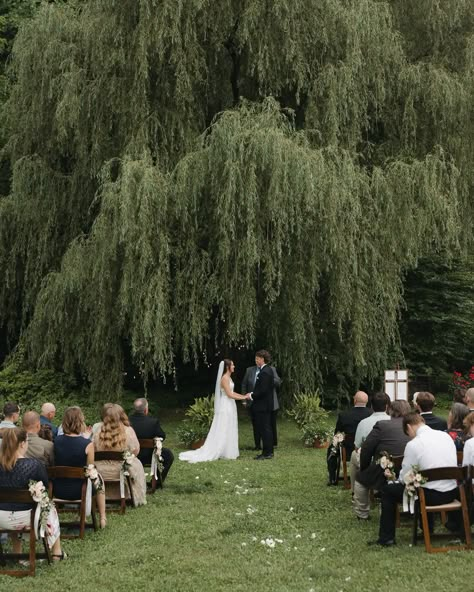 my favorite part about the holton’s wedding day was that their ceremony was under a willow tree!!!!! had to make another post for appreciation of the most beautiful intimate wedding 🫶🏼 • • • venue: @honeysucklehills • Willow Tree Wedding Ceremony, Intimate Wedding Aesthetic, Wedding Willow Tree, Weeping Willow Wedding, Under A Willow Tree, Outside Wedding Ceremonies, Tree Wedding Ceremony, Willow Tree Wedding, Montana Glacier National Park