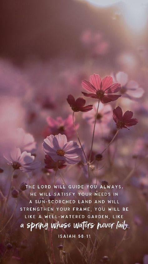 Pink Bible Quotes, Wallpaper Bible Verse Aesthetic, Bible Verse Wallpaper Pink, Pink Bible Quotes Wallpaper, Pink Jesus Wallpaper, Decorate Front Porch, Scripture Wallpaper, Bible Verse Background, Bible Quotes Wallpaper