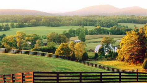 I have no doubts that you would love to go back to stay, not visit the Countryside in Tennessee. Wish I could take you one more time, Sweet MaMa.. Rural Horror, Country Side Landscape, Estate Landscaping, Virginia Countryside, Dreamy Nostalgia, Rural Virginia, Farm Goals, Farm Scenes, Big Farm