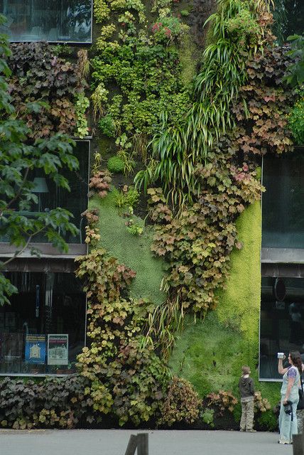 LIVING WALLS? Also could be used at the start for outside??   Vertical garden Green living wall - Paris Plants Display, Kolam Koi, Green Facade, Vertical Gardens, Green Walls, Green Architecture, Green City, Wall Garden, Hanging Garden