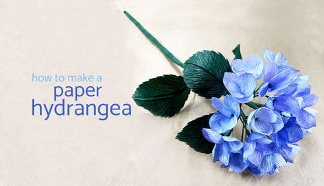 Paper Flower Tutorials | Ta Muchly Paper Blooms Hydrangea Template, Crepe Paper Flower Tutorial, Paper Hydrangea, Crepe Paper Flower, How To Make Crepe, Coffee Filter Flowers, Paper Leaves, Paper Flower Template, Handmade Flowers Paper