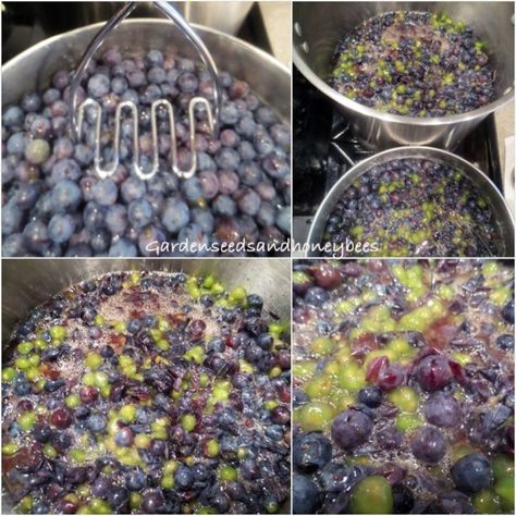 Concord Grape Freezer Jam - Garden Seeds and Honey Bees Grape Freezer Jelly, Concord Grape Freezer Jam, Concord Grape Freezer Jam Recipe, Freezer Grape Jam, Grape Freezer Jam Recipe, Frozen Grapes Recipe, Concord Grape Recipes, Freezer Jams, Grape Jam Recipe