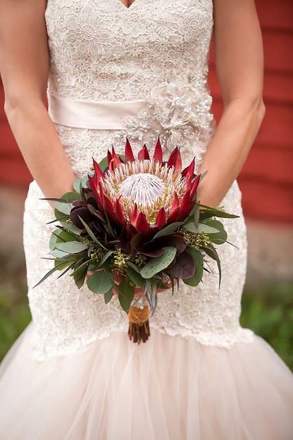 Protea Bouquet Wedding, Protea Bridal Bouquet, Unusual Bouquets, Round Bridal Bouquet, Unusual Wedding Bouquets, Protea Wedding, Unique Bridal Bouquets, Small Wedding Bouquets, Protea Bouquet