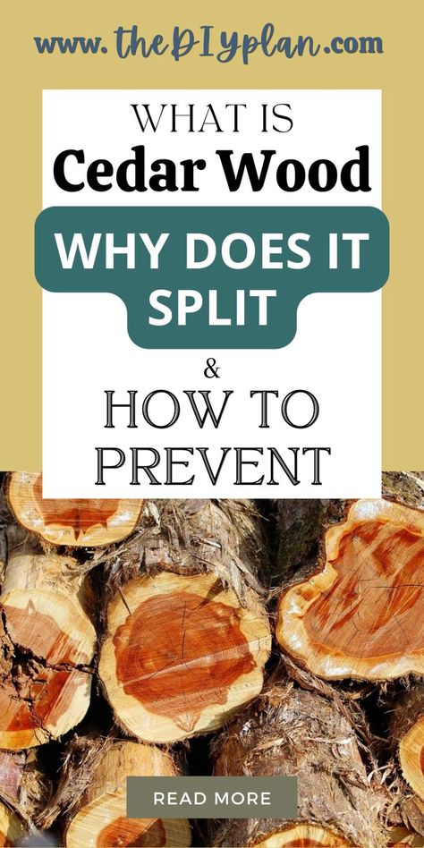 Cedar wood splits when the water leaves the cells faster than it can be replaced. This usually happens when the wood is exposed to sunlight or left in an uninsulated barn in the winter. It can also happen if the wood is stored near a heat source for a prolonged period. || DIY Home Decor, DIY Furniture, Wood Projects, Woodworking Projects, Wood Crafts, Carpentry DIY || #woodworking #project #design #tool #carpentry #diy #tips Diy Furniture Wood, Cedar Wood Projects, Small Easy Woodworking Projects, Build A Greenhouse, Bird Houses Diy, Carpentry Diy, Furniture Wood, Woodworking Project, Cedar Wood