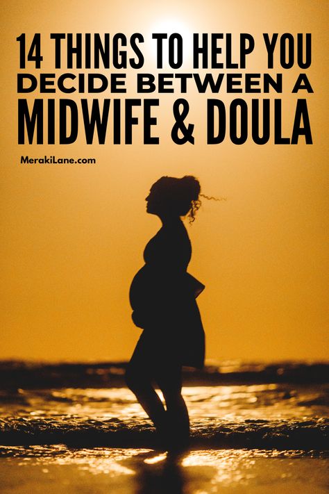 Midwife vs Doula vs OBGYN: 14 Tips to Help You Choose Doula Vs Midwife, Midwife Assistant, Fetal Monitoring, High Risk Pregnancy, Medical Training, Maternal Health, Make A Decision, Delivery Room, Medical Tests