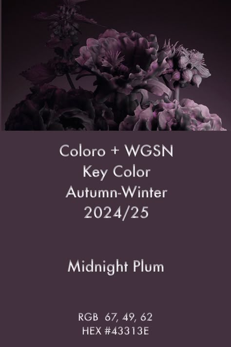 2024 Color Trends Forecast, Wgsn Aw24/25, Color Forecast 2023 2024, Fw 2024 Color Trends, Pantone 2024 Color Trends Fashion Winter, Pantone Colour 2024, Midnight Plum Fashion, Color Forecast 2024/2025, Midnight Plum Color