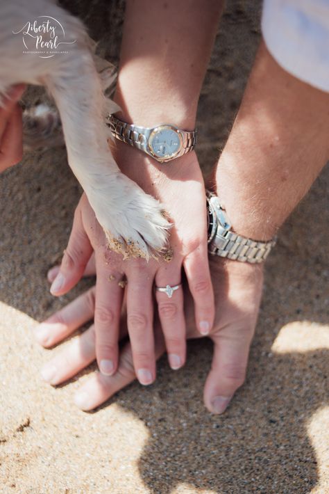 Pre Wedding Shoot Ideas With Dog, Photo Shoot With Your Dog, Couple And Dog Beach Photos, Dog Beach Engagement Photos, Beach Engagement Shoot With Dog, Couples Beach Photoshoot With Dog, Family Beach Pictures With Dog, Couples Photo Shoot With Dog, Dog Beach Photoshoot