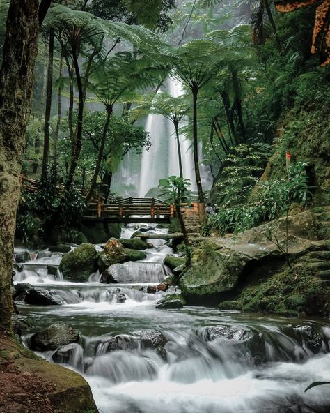 Keindahan Alam Air Terjun Jumog Karanganyar Image From @akuruzdy #wisata #JawaTengah yang melliputi wisata #airterjun #Karanganyar #pemandangan #SpotFoto #wisatakeluarga #wisatatersembunyi Air Terjun Jumog Karanganyar Lokasi Dan Harga Tiket Masuk Terbaru – Air terjun selalu menjadi tujuan wisata dikala cuaca sedang panas. Melihat air ter... Alam Yang Indah, Nature Aesthetic, Beautiful Destinations, Kerala, Nature Photography, Drawings, Water, Photography, Travel