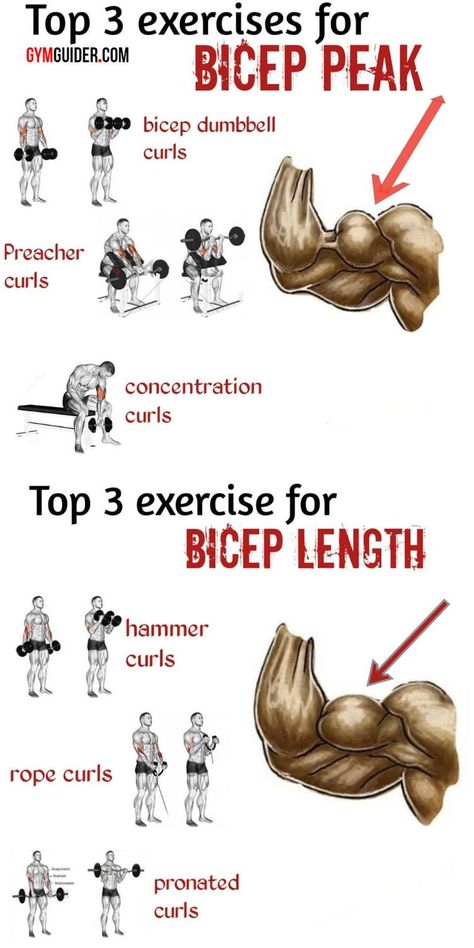 Big Biceps Workout, Bigger Biceps, Bicep And Tricep Workout, Workout Program Gym, Trening Sztuk Walki, Gym Workout Planner, Gym Antrenmanları, Full Body Workout Routine, Big Biceps