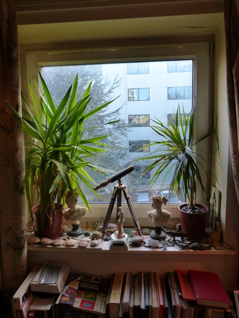 https://flic.kr/p/jp1jWS | Out of my brothers window | The window sill is more picturesque than the view Window Sill With Plants, Large Window Sill Decor, Deep Window Sill Ideas, Window Sill Decor Living Room, Window Sill Decor Bedroom, Bedroom Window Sill Decor, Window Ledge Ideas, Window Sill Ideas, Plants On Window Sill