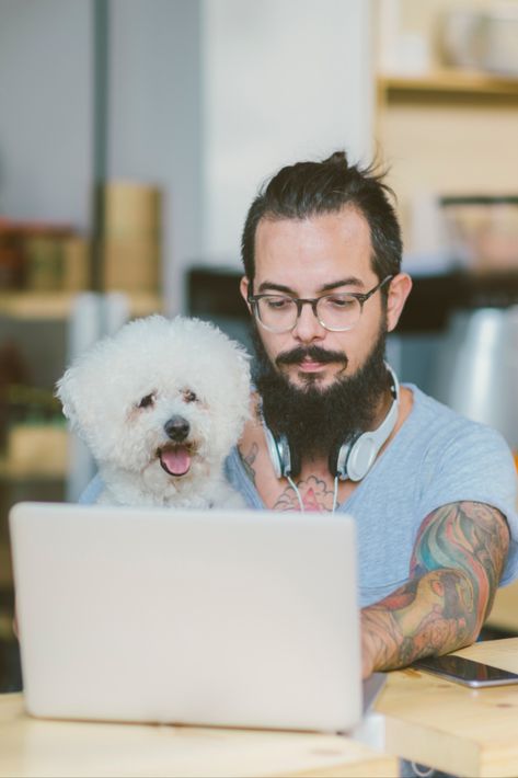 7 of the best places to visit online when you need dog training advice | This is about to become your go-to list of sites and channels by (actually) qualified trainers. Dog training advice online. How to train your dog or puppy. Dog Training School, Toddler Safety, Easiest Dogs To Train, Dog Training Advice, Pet Advice, Train Your Dog, Animal Behavior, Sporting Dogs, How To Train