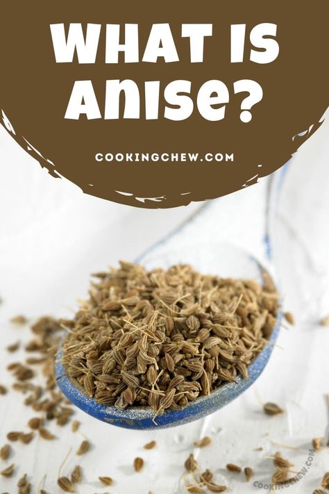 Ever wondered what is anise and what it’s used for? Learn everything about this ancient spice, from its humble beginning to its best storage method! Recipes With Anise, Anise Cookies, Seed Cookies, Italian Meals, Classic French Dishes, Anise Seed, African Recipes, Cooking 101, French Dishes