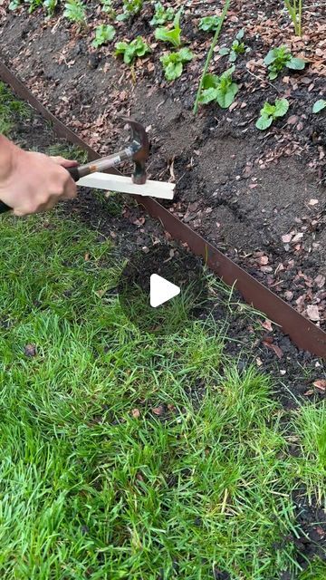 Tom Strowlger on Instagram: "Installing Everedge Lawn Edging 🌱

It’s very exciting to install Everedge Lawn Edging into and along bed and borders. Whether it’s small or big borders Everedge Lawn Edging gives the garden the wow factor. I love a formal border, an undisputed separation of the border from the grass. 

Give your lawn edge definition with this weather resistant, maintenance free, 1.6mm thick galvanised steel lawn edging, coated in a corrosion resistant brown paint, which research has revealed to be the most natural colour for the majority of applications. Manufactured from almost 100% recycled material using British Steel.

Extremely flexible suitable for small and large projects. The 1m lengths are easily installed with a hammer, screwdriver and block of wood, straight lines a Edge Trimmer Lawn, Garden Boarders Ideas, Lawn Edging Ideas, Lawn Borders, Block Of Wood, British Steel, Benefits Of Gardening, Edging Ideas, Lawn Edging