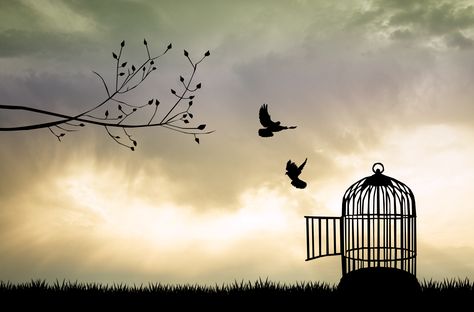 Born A Slave And Now Free To Serve - Message Magazine Bird Flying From Cage, Bird Out Of Cage, Bird Flying Out Of Cage, Simple Bird Tattoo, Cage Tattoos, Small Bird Tattoo, Bird Quotes, Swallow Tattoo, Bird Flying