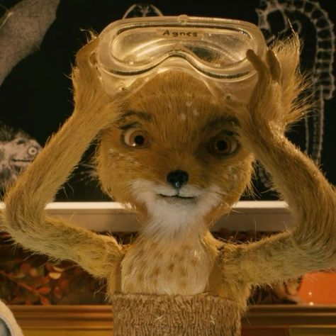 Results for quiz which fantastic Mr. Fox character are you?? Mr Fantastic Fox Pfp, Fox Core Aesthetic, Fantastic Mr Fox Agnes, Ash Fantastic Mr Fox Icon, Fantastic Mr Fox Pfp, Fantastic Mr Fox Characters, Fantastic Mr Fox Aesthetic, Fantastic Mr Fox Movie, Fox Icon