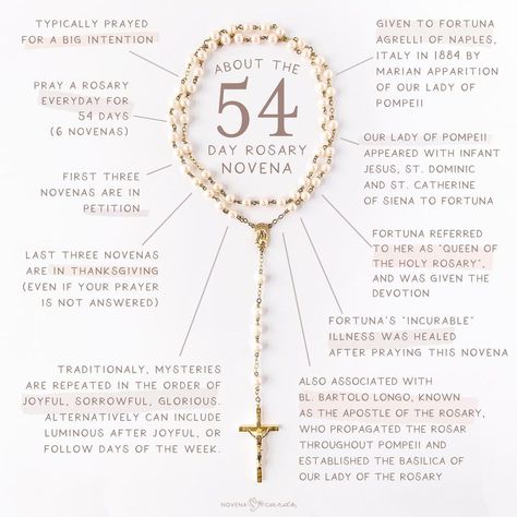 1,391 Likes, 53 Comments - Novena Cards (@novenacards) on Instagram: “The 54 day Rosary Novena was given to Fortuna Agrelli from Naples, Italy in 1884 through a Marian…” Our Lady Of Pompeii, Our Lady Of Rosary, Rosary Novena, Rosary Prayers Catholic, Andrew The Apostle, Our Lady Of The Rosary, Lady Of The Rosary, Marian Apparition, Novena Prayers