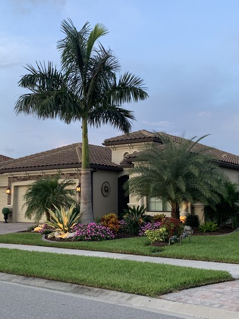 Palm Trees Landscaping Front Yard, Backyard With Palm Trees, Sylvester Palm Landscaping, Florida Palm Trees Landscaping, Small Front Yard Landscaping Florida, Florida Home Landscaping Front Yards, Front Yard With Palm Trees, Tropical Landscaping Front Yard Florida, Florida Landscape Front Yard