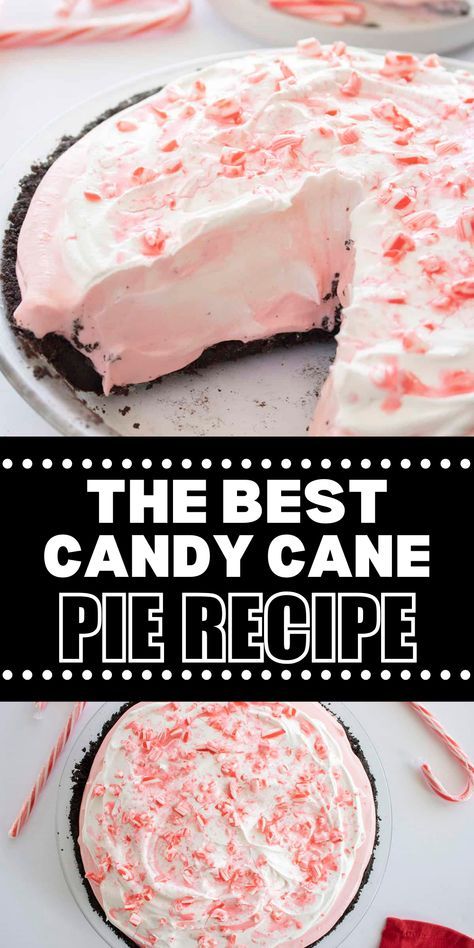 Candy Cane Pie is a sweet & creamy dessert with some peppermint spice to it. An easy no bake holiday pie recipe you need this Christmas! Make it with a homemade Oreo Pie Crust to make this an easy from scratch Christmas dessert. Peppermint Cream Pie Recipe, Peppermint Pie Recipe, No Bake Candy, Peppermint Pie, Candy Cane Pie, Christmas Pie Recipes, Holiday Pies Recipes, Oreo Pie Crust, Candy Cane Recipe