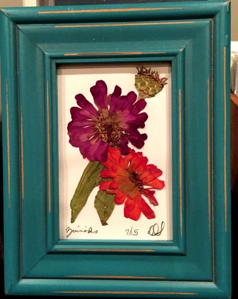 Pressed zinnias Pressed Zinnias, Pressed Botanicals, Botanical Artwork, Pressed Flower Art, Pressed Flower, Crafty Ideas, Pressed Flowers, Flower Art, Art Inspiration