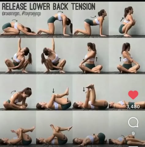 Release Lower Back, Gym Antrenmanları, Body Transformations, Lower Back Muscles, Lower Back Pain Exercises, Latihan Yoga, Yoga Beginners, Yoga For Back Pain, Lower Back Exercises