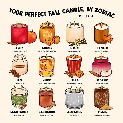 We've never met a fall candle we didn't like 🕯️🍂 From maple to pumpkin chai, autumn brings out all of the best scents! 🍁 Check you sun, moon, and rising sign to find your perfect fall candle, according to the stars 💫 ⁠ ⁠ #candles #candlecommunity #pumpkinspice #chai #fall #fallvibes #autumn Scorpio In Autumn, Best Scents, Autumn Scented Candles, Sun Moon And Rising, Horoscope Candles, Zodiac Candle Scents, Rising Sign, Zodiac Candle, Pumpkin Chai