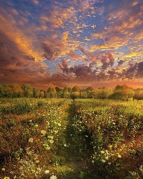 Colors Poster featuring the photograph Just Follow Your Feet by Phil Koch Prairie Art, Water Spouts, Clouds Lightning, Amazing Scenery, Scenery Pictures, Evening Sky, Milwaukee Wisconsin, Beautiful Places Nature, Nature Flowers