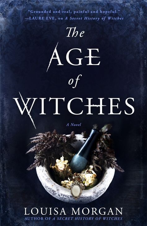 THE AGE OF WITCHES by Louisa Morgan | Orbit Books Witch Novels, Witchy Books, Witch History, Witchcraft Books, By Any Means Necessary, Witch Books, To Be Read, The Secret History, Gilded Age