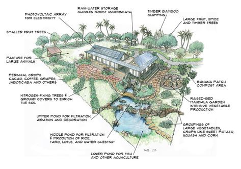 A self sufficient house - 9GAG Plan Potager Permaculture, Land Layout, Farm Layouts, Small Fruit Trees, Homestead Layout, Livestock Shelter, Permaculture Garden, Acre Homestead, Farm Layout