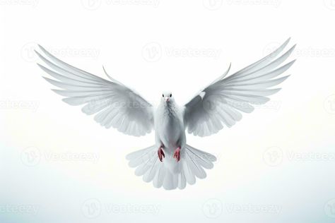 Dove isolated on white background freedom concept life. Generative AI The Dove, Tree Saw, Wedding People, Heart Tree, Cityscape Photos, Logo Banners, Nature Backgrounds, Heart With Arrow, Background Banner