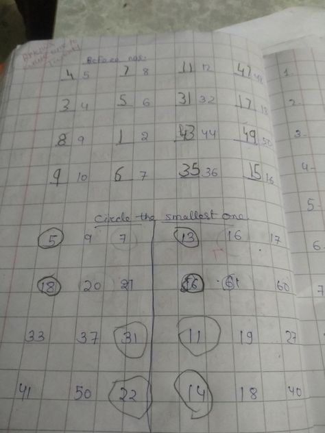 Jr Kg Maths Worksheet, Lkg Worksheets Maths, Nursery Worksheet, Kg Worksheets, Easy Math Worksheets, Study Things, Articles Worksheet, Lkg Worksheets, Basic English Grammar Book