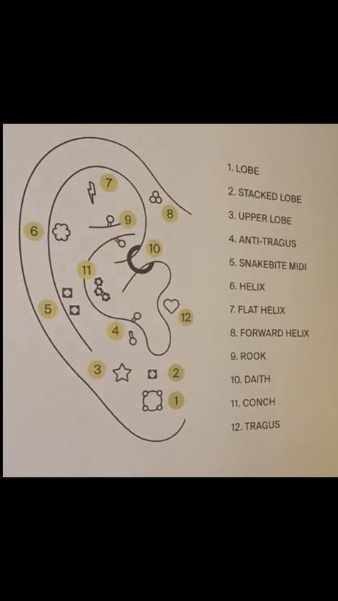 Where Should I Pierce My Ear, Earring Piercing Diagram, Ear Piercing Locations Chart, Peircings Earring Names, Ear Piercings Placement Chart Pain Level, Ear Piercing Ideas Chart Names, Ear Peirce Chart, Ear Piercings Pain Level Chart, Eat Piercings Chart