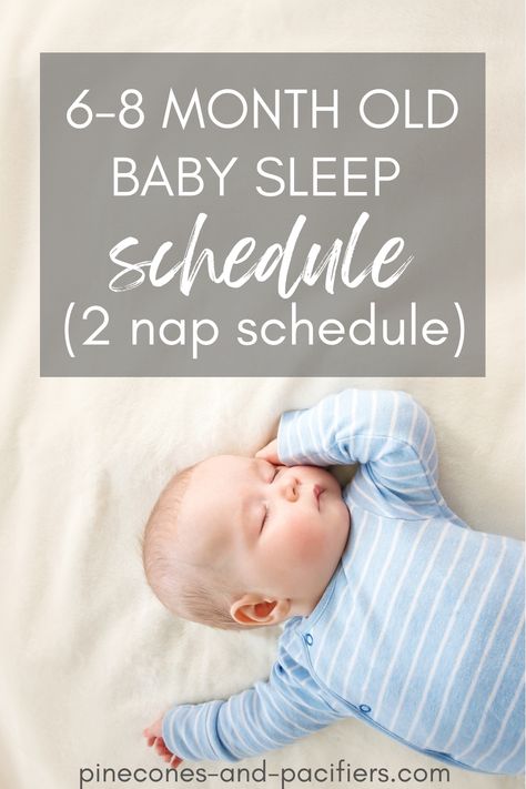 7 Month Old Schedule, 6 Month Sleep Schedule, 8 Month Old Schedule, 6 Month Old Schedule, 6 Month Old Sleep, Babywise Schedule, Moms On Call, Baby Sleep Routine, Baby Sleep Training