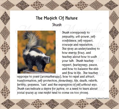 Skunk Spiritual Meaning, Skunk Spirit Animal Meaning, Skunk Symbolism, Magic Basics, Wisdom Stories, Spiritual Animals, Symbolism Meaning, Spirit Animal Meaning, Animal Meanings