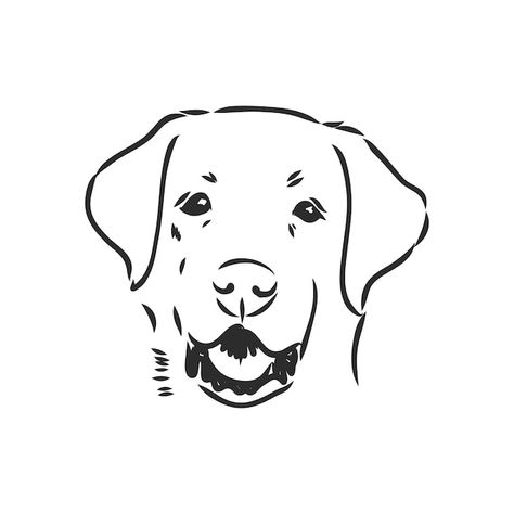 Vector image of an dog labrador on white... | Premium Vector #Freepik #vector #dog-art #big-dog #golden-retriever #labrador Dog Labrador, Vector Sketch, Dog Images, Face Drawing, Premium Vector, Golden Retriever, Labrador Retriever, Labrador, Graphic Resources