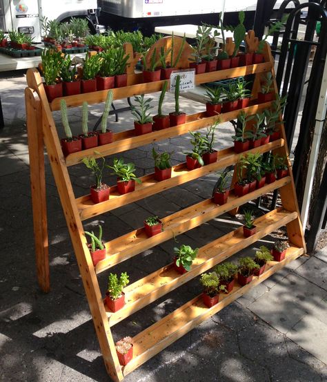 Farmers Market Ideas Display, Vegetable Display Market, Farmer Market Stand Ideas, Plant Farmers Market, Farmers Market Plant Stand, Farmers Market Boutique Display, Selling Plants At Farmers Market, Farmers Market Aesthetic Display, Farmers Market Plant Display