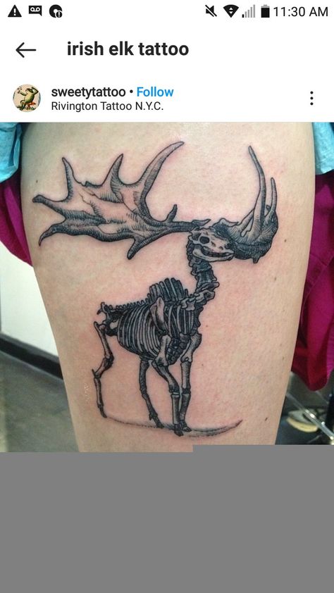 Moose Skeleton, Elk Tattoo, Moose Tattoo, Irish Elk, Skeleton Tattoo, Skeleton Tattoos, Body Mods, Deathly Hallows Tattoo, Ink Tattoo