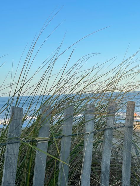 Boston Aesthetic Summer, Summer Nostalgia Aesthetic, Delaware Aesthetic, Country Home Aesthetic, Aesthetic Tsitp, Mom Collage, Beach Nostalgia, Charleston Summer, Costal Granddaughter