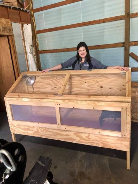 Brooder Box Ideas, Chick Brooder Ideas, Chicken Coop With Brooder Inside, Chicken Brooders, Brooder Inside Chicken Coop, Chick Brooder Inside Coop, Kiddie Pool Brooder, Chicken Brooder Box, Chicken Pets